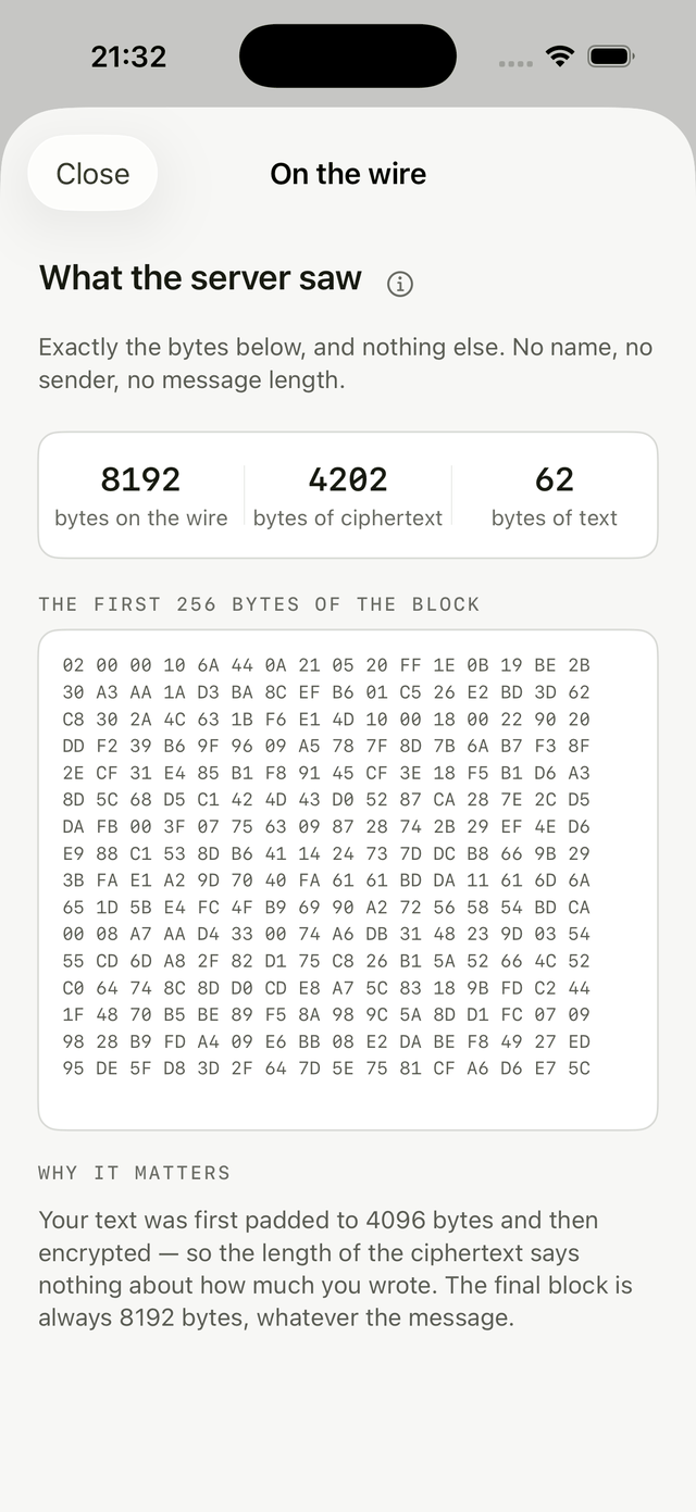 The wire inspector, titled What the server saw, showing 256 bytes of the real encrypted block in hexadecimal.